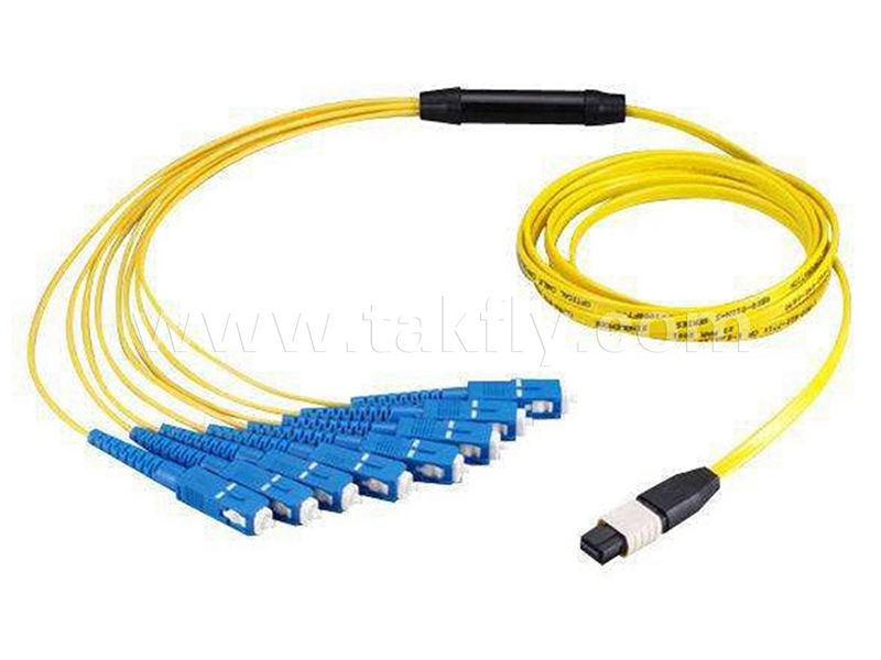 MPO MTP-SC MPO MTP-SC fiber patch cord